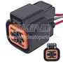 SK-B181